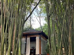 -竹海听涛生态山庄