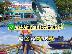 -海合安武汉极地海洋公园