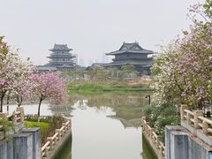 -海珠湖公园
