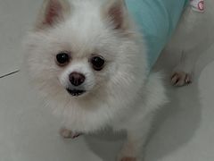 -怪兽屋·羊驼·猫咖·狗咖(俊华广场店)