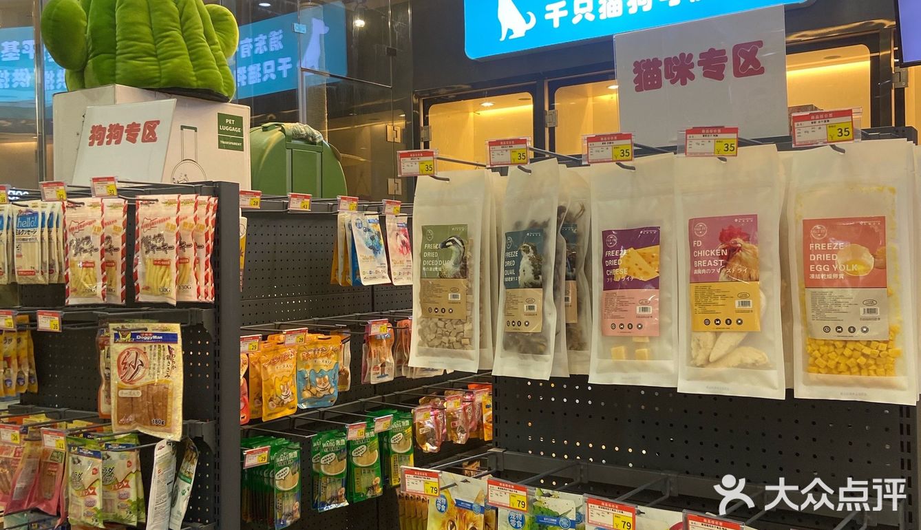 猫猫🐱狗狗🐶，更爱哪个？
