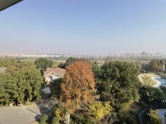 -上海东方佘山翰悦阁酒店·Vie全日制餐厅