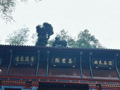 -青城山
