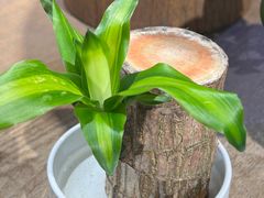 -弄堂里(滨江龙湖天街店)