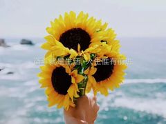 -林记开心动物奶油生日蛋糕(江南春晓店)