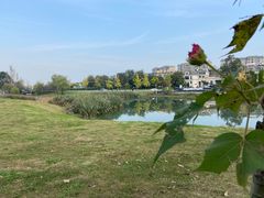 -两河城市森林公园