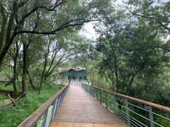 -西湖风景区-江洋畈生态公园