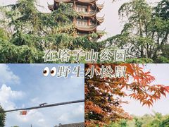 -塔子山公园