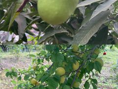 -南通洲际绿博园