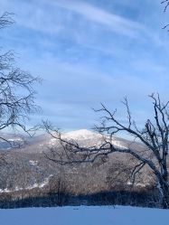 -大秃顶子山