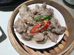 -南枝记