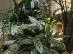 -相遇·川湘融合菜(丹阳吾悦广场店)