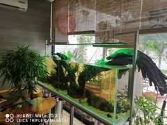 -北京七子郎韵普洱(通怀路店)