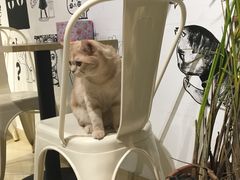-小时光咖啡馆(开森度假森林店)