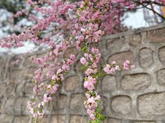 -鹫峰国家森林公园