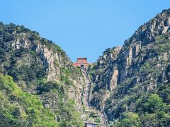 -万达广场(泰安泰山店)