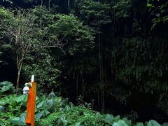 -海口火山口国家地质公园