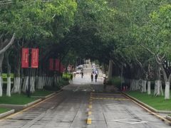 -厦门大学(思明校区)