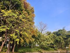 -晓港公园