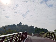 -王借岗森林公园