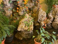 -开元食府(长兴路店)