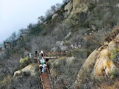 -大岭沟猕猴桃谷风景区