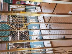 -顺粤楼·粤菜·点心(融创茂店)
