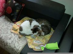 呜咪与小新-小雅青年旅舍(平江路店)