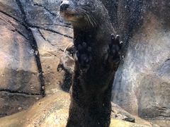 -波塞冬旅游度假区