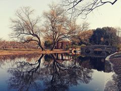 -上海共青森林公园