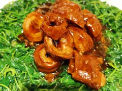 碧绿圈子-五芳齋(云南南路店)