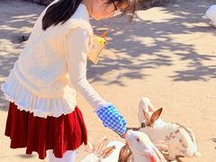 -茅山东方盐湖城景区