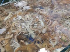 -塔湾北行农贸市场