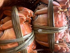 -蟹村草堂·苏式园林人文农家·大闸蟹