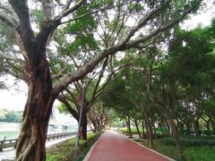 -光明港公园