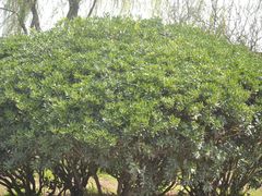 -敬亭山风景名胜区