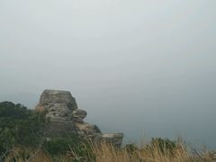 银瓶的瓶盖吗？-银瓶嘴森林公园