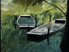 -深圳仙湖植物园