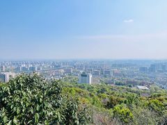 -杭州半山国家森林公园