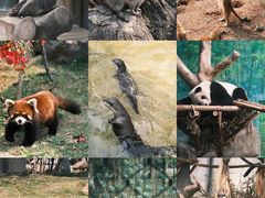 -灵玲国际马戏城