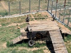 -青藏高原野生动物园