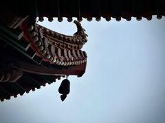 -黄鹤楼