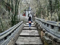 -老张烤羊(王哥庄店)