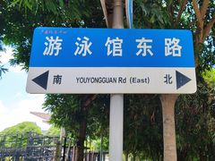 -广西体育中心-游泳馆