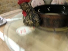 -珠梅土鸡(娄底市娄星区煤炭局东)