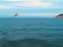 -海驴岛(荣成市)