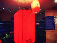 -眉州东坡(华联万柳店)