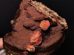 -HOT CRUSH趁热集合·现烤面包(环球港店)