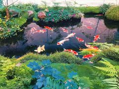 -罗红摄影艺术馆