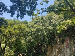 -句容茅山景区